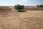 People sitting under a tree in Al-Araqib, village’s cemetery appears in the background, photography: Haia Noach, 25.06.2014