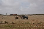 Agricultural lands of the village of al-Baggār, 04.03.2015 (Michal Rotem / NCF)