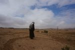 Agricultural lands of the village of al-Baggār, 04.03.2015 (Michal Rotem / NCF)